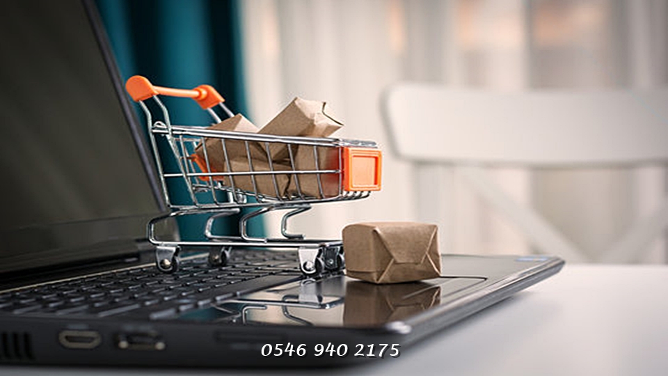 Diyarbakır Kocaköy SEO Uyumlu Web Site Tasarım
