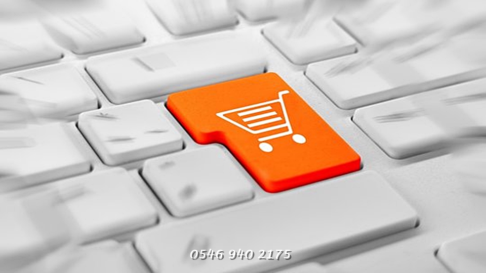 Adıyaman Merkez SEO Uyumlu Web Site Tasarım
